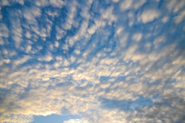 El cielo azul y las nubes mullidas blancas