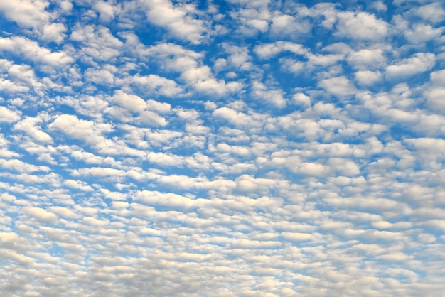 El cielo azul y las nubes mullidas blancas