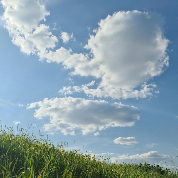 Un cielo azul con nubes y un pájaro en medio