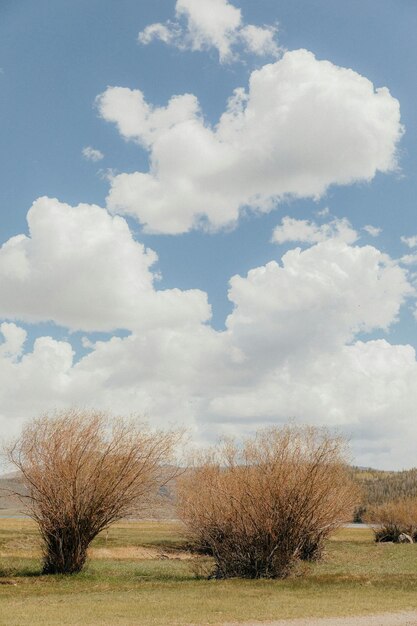 Foto un cielo azul con nubes y una pequeña casa en el fondo