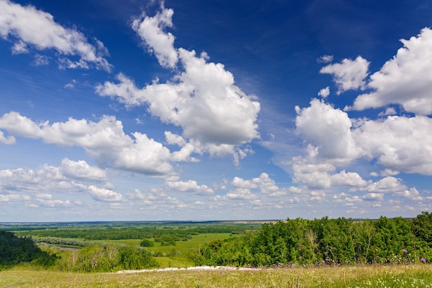 Un cielo azul con nubes sobre un prado florido en verano.