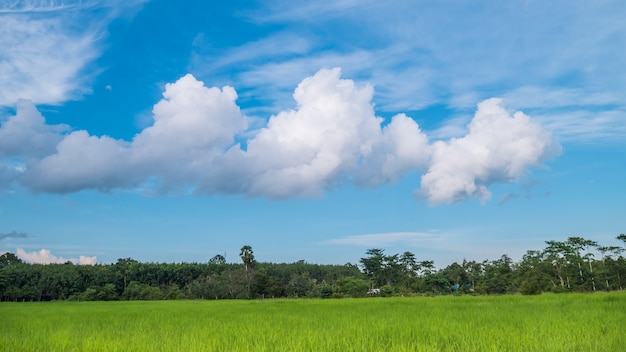 Cielo azul con nubes