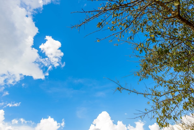 Cielo azul con nubes