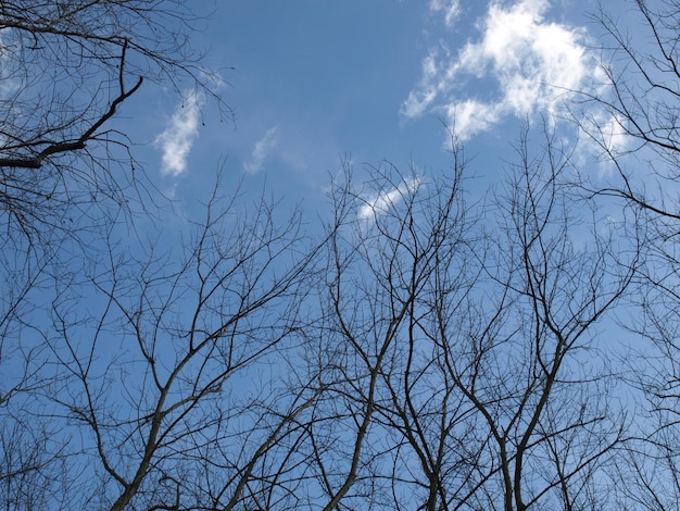 cielo azul con nubes