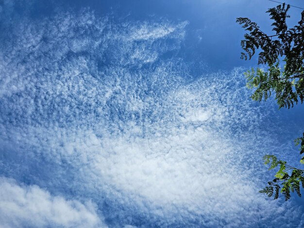 El cielo azul nublado es un ambiente agradable.