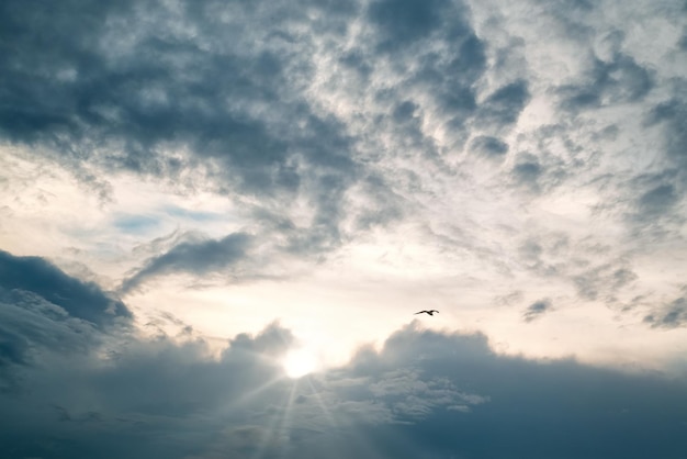 Cielo azul nublado con rayos de sol y fondo natural de silueta de gaviota
