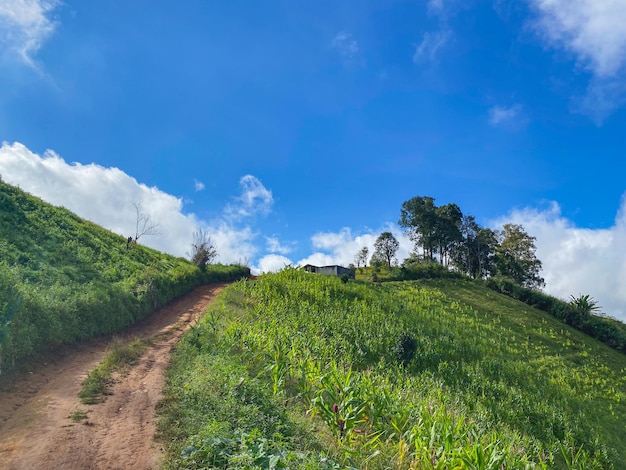 Cielo azul con paisaje de montaña verde