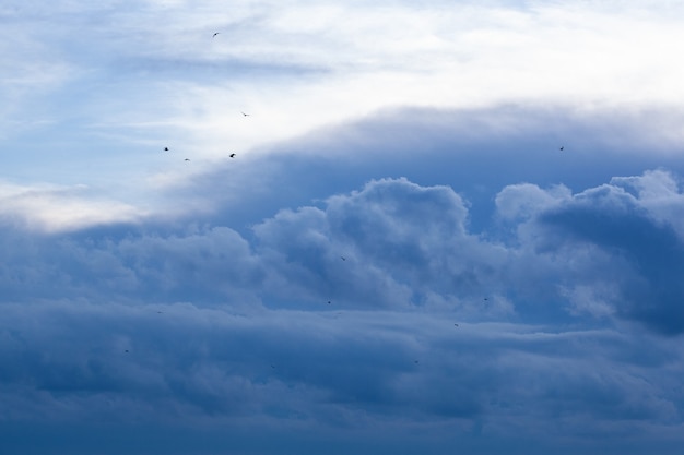 Cielo azul con pequeñas nubes y pájaros en la distancia
