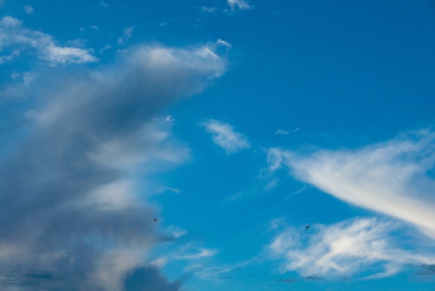 Cielo azul con primer plano de nubes