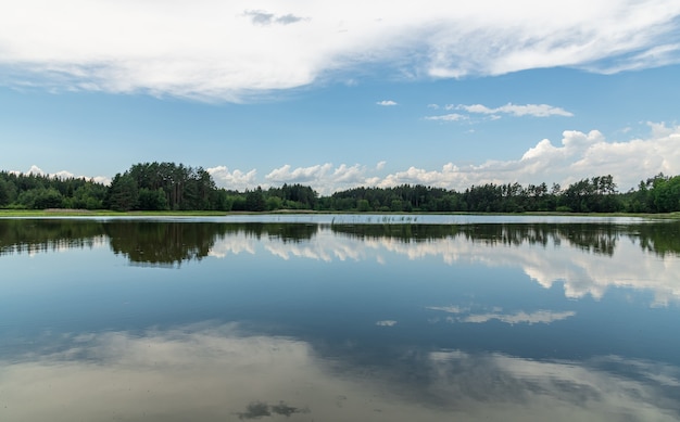 Cielo azul reflejado con nubes blancas y bosque en la superficie de un lago