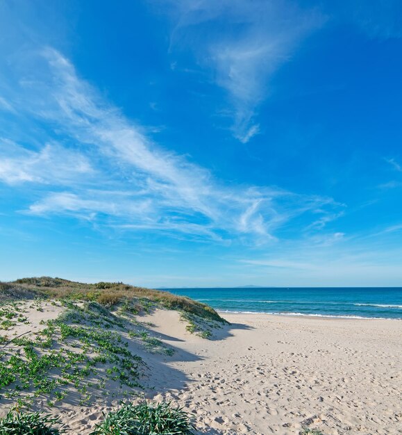 Cielo azul sobre las dunas de Platamona snd