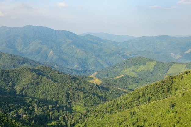 Cielo, bosque y montañas