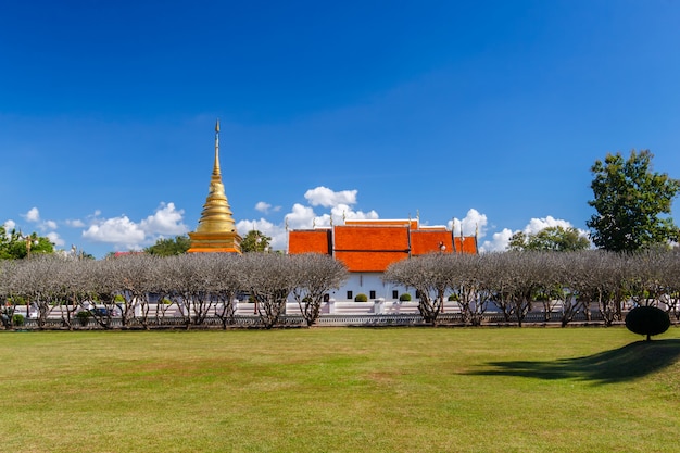 Cielo brillante con campo de hierba en el Museo Nan frente a la pagoda dorada en Wat Phra That Chang Kham