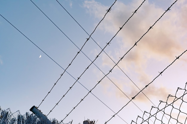 Foto cielo y cables en simetría