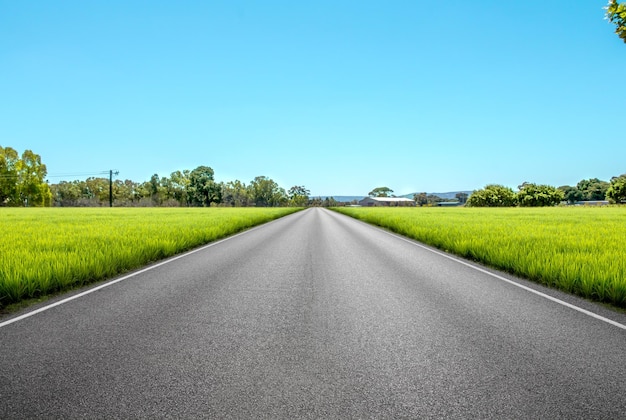 Cielo de la carretera de asfalto y campo verde perfecto