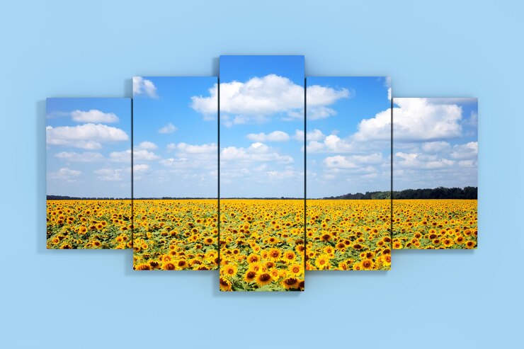 Foto cielo con cartel de campo de girasoles sobre un fondo de pared azul. representación 3d