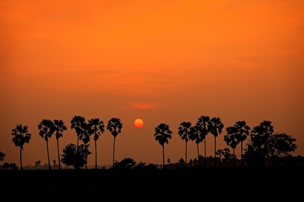 Cielo colorido al atardecer sobre campo tropical