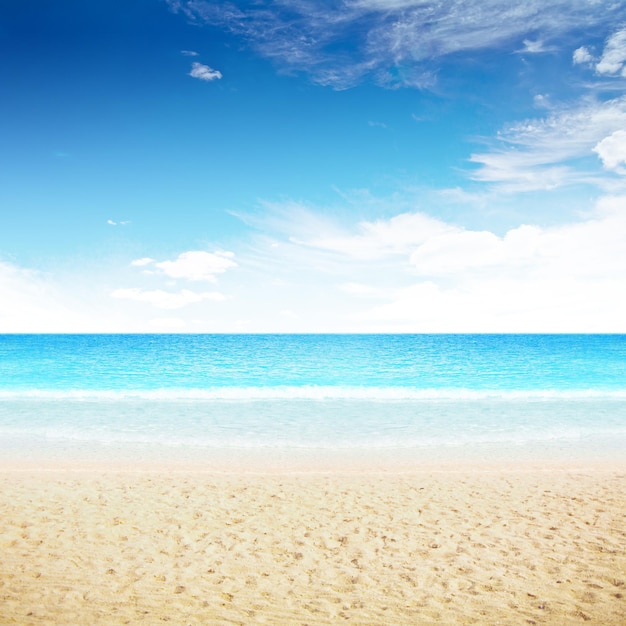 Cielo despejado y playa de la isla.