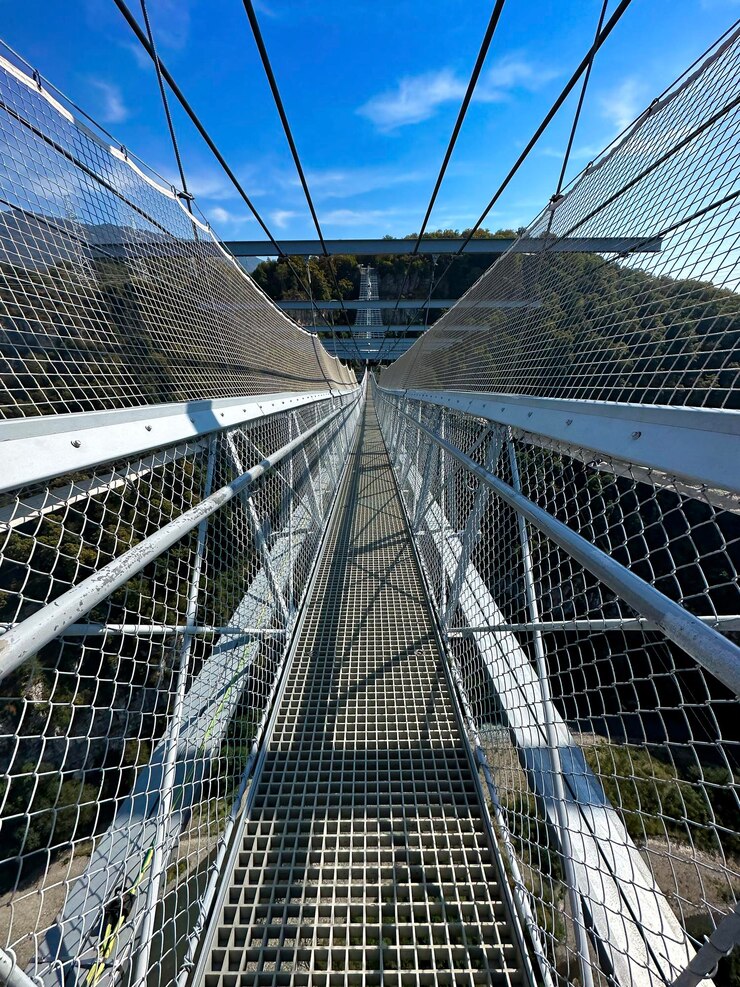 Cielo despejado sobre un puente colgante peatonal con redes protectoras que conduce a una vegetación exuberante