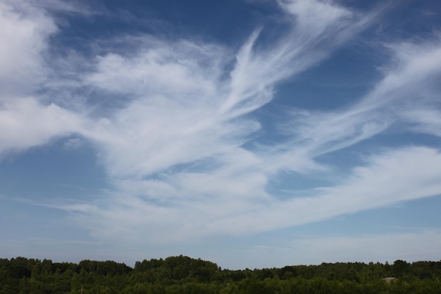 Cielo despejado