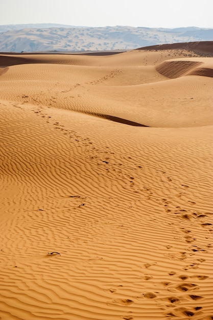 Cielo y dunas del desierto amarillo