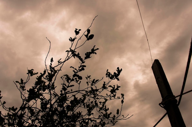 El cielo era gris y marrón, con sombras de farolas y árboles.