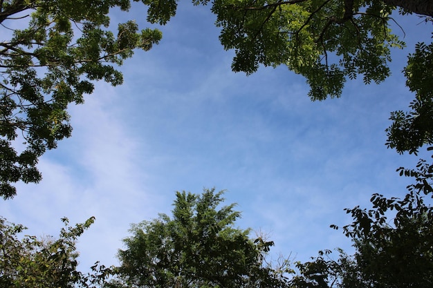 Foto el cielo es de color azul