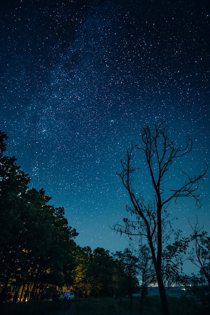 Cielo estrellado sobre el cinturón del bosque