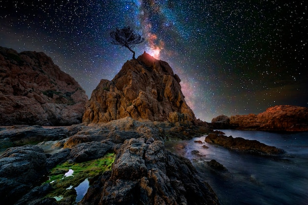 Foto cielo estrellado sobre el mar