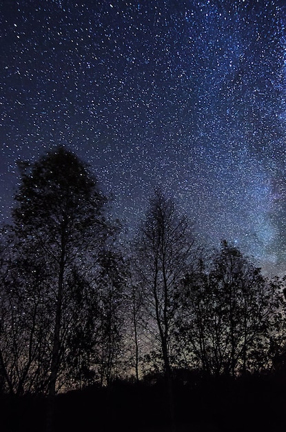 Cielo estrellado