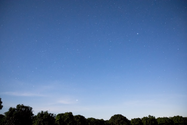 Cielo y estrellas Guarde la noche