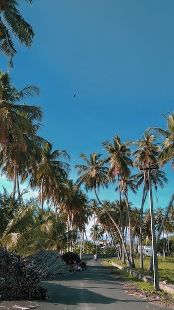 cielo de fondo