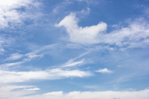 Cielo con forma de pájaro