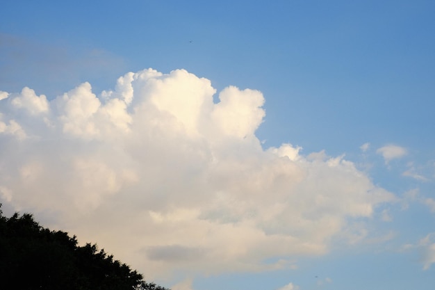 Foto cielo con una gran nube