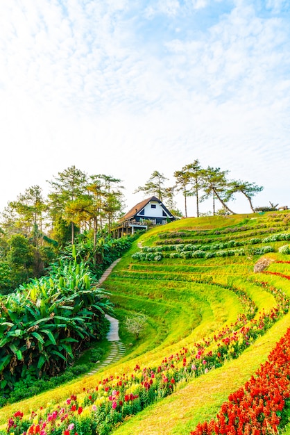 Cielo hermoso amanecer con jardín en la montaña en el Parque Nacional Huai Nam Dang