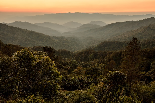 Cielo hermoso amanecer sobre bosque tropical y montaña