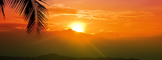 Cielo de la hora dorada de la puesta del sol con el sol sobre la montaña y la hoja de palma