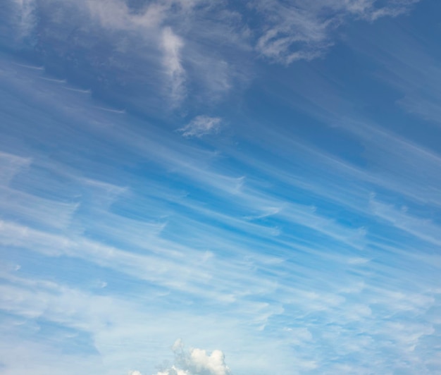 Cielo Increíble cielo nuboso en la vista panorámica de verano