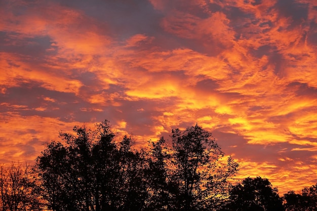 Cielo llameante con nubes anaranjadas