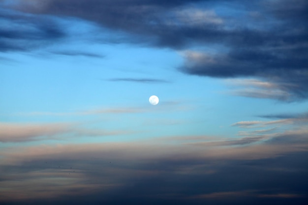 cielo de luna llena