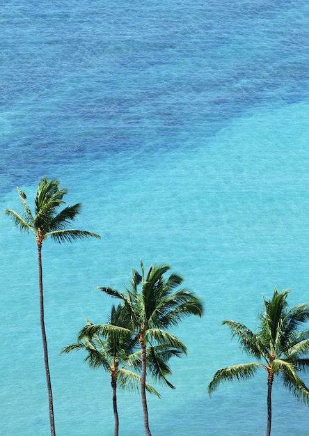 Cielo y Mar Azul Aqua