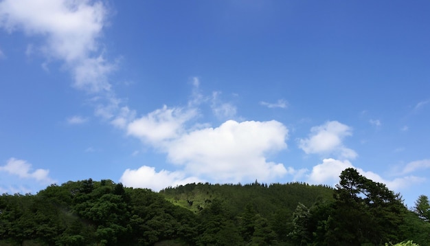 Cielo con naturaleza 1231423