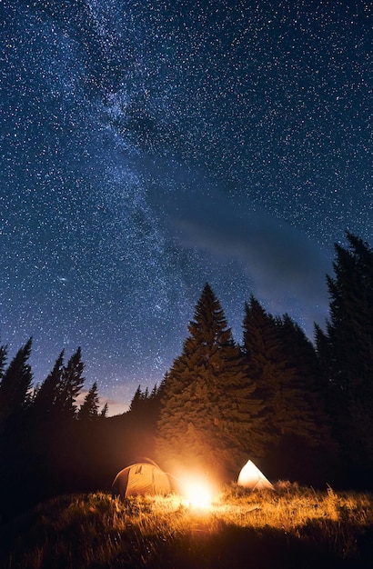 El cielo nocturno brillante está salpicado de estrellas y la Vía Láctea es visible en él Acampar por la noche en un bosque de pinos