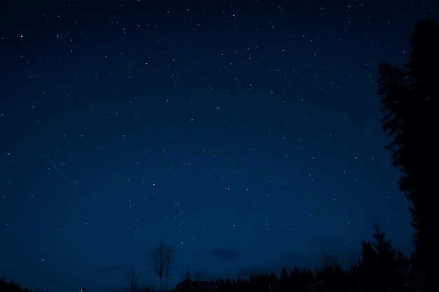 Cielo nocturno estrellado en el bosque. Noche en las montañas. silueta de noche