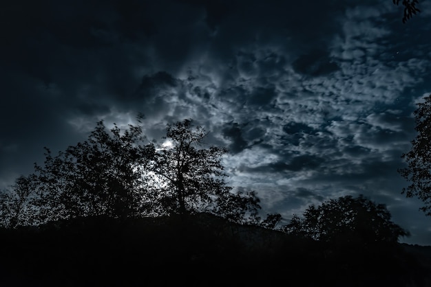 Un cielo nocturno nublado con luz de luna en el bosque misterioso.