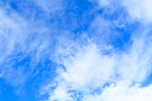 Foto cielo y nube