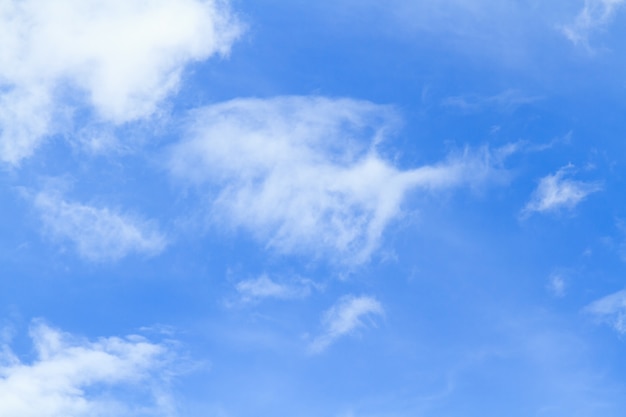 Foto cielo y nube