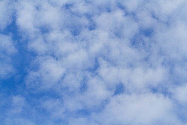 Foto cielo y nube