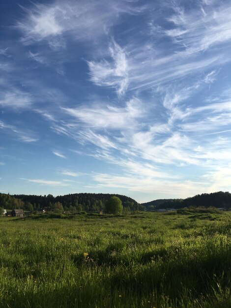 Foto cielo nublado en los verdes campos de verano