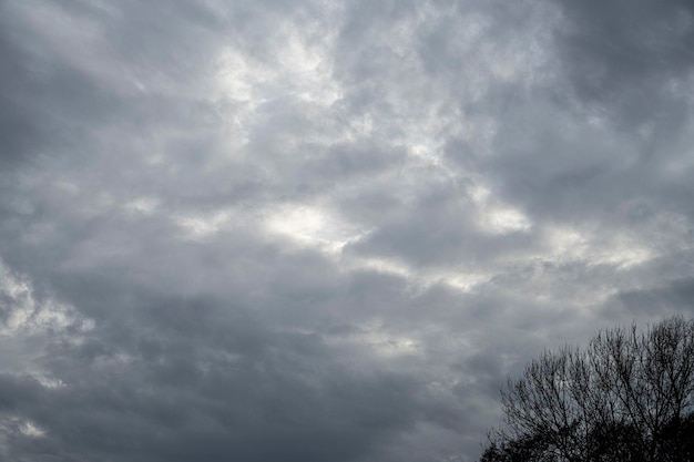 Un cielo oscuro con nubes y un árbol en primer plano